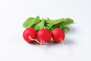 Fresh red radishes