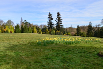 Obraz premium An English country garden in early springtime.