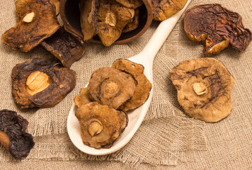 Dried mushrooms on canvas