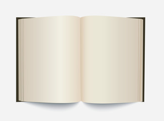 Vector blank white opened book.