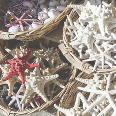 Starfish and seashells souvenirs for sale