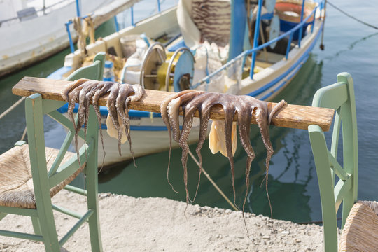 Octopus drying on a stick in Chania, Greece