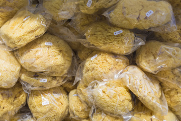 A closup of a natural sponges