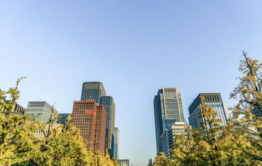 Tokyo, Japan cityscape ( Filtered image processed vintage effect
