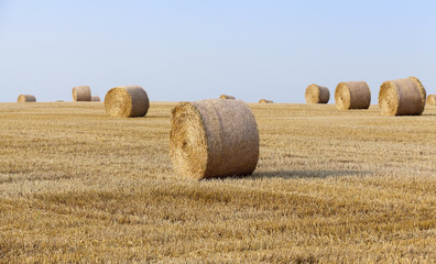 stack of straw in the field  