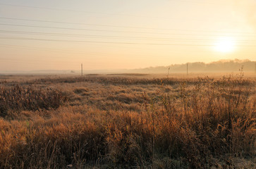Fototapeta na wymiar Morning fog, autumn 