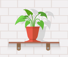 Houseplant Design Flat Concept