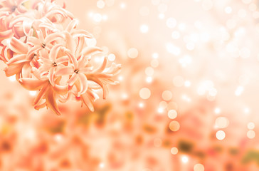 Beautiful floral background