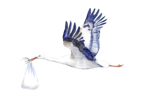 Stork with baby.Watercolor hand drawn illustration.
