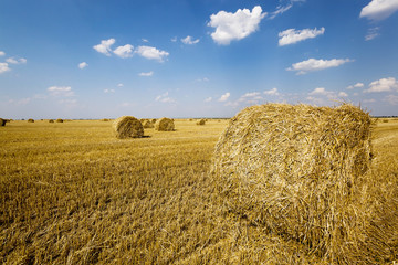 stack of straw in the field  