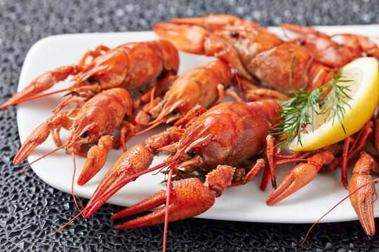 Boiled red crayfish on a white dish with lemon and dill.