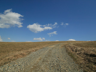 牧草地の一本道