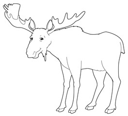 Cartoon animal - moose - isolated - coloring page - illustration for children