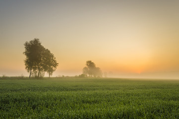 wiosenne pole   © Mike Mareen