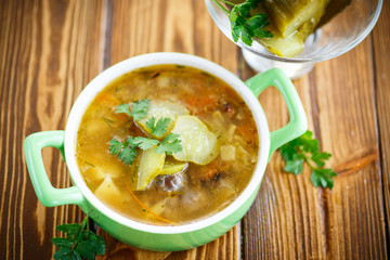 soup with pickled cucumbers on the plate
