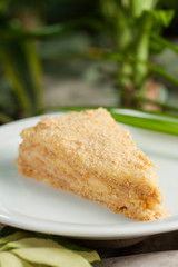 piece of cake napoleon, puff cakes and custard, sprinkled with crumbs on white plate