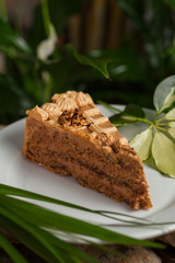 a piece of sponge cake with nuts and poppy seeds, covered with whipped cream on a white plate
