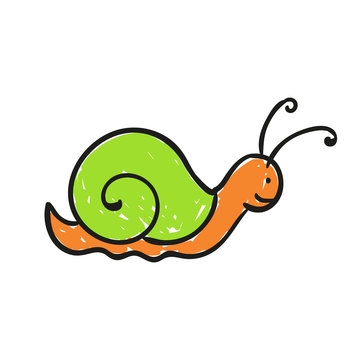 Vector Illustration of a Hand Drawn Cute Little Snail