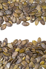 Unshelled pumpkin seeds border