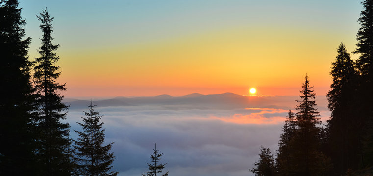 Fototapeta Dawn forest above clouds