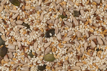 Healthy seeds mix