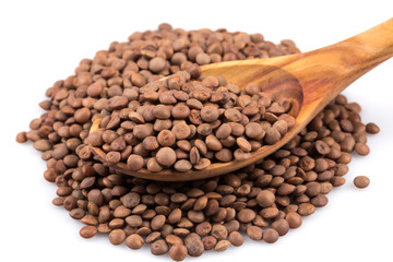 Lentils Isolated on White Background
