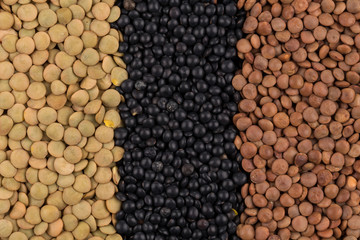 mix of lentils