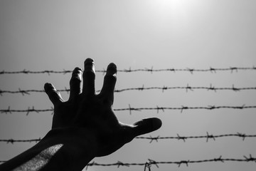 Silhouette hand extending to the sky with barbwire and sunlight, black and white