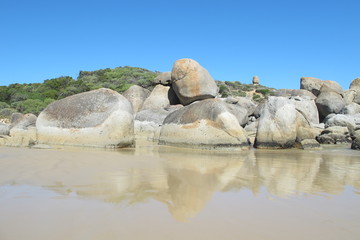 Beautiful Australian coast in Wilson Promontory National Park 
