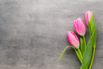 Tulip pink, on the gray background.