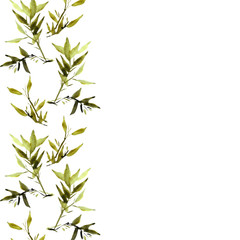 Watercolor illustration of bamboo plant