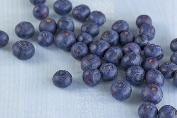 viele Blaubeeren auf blauem Untergrund