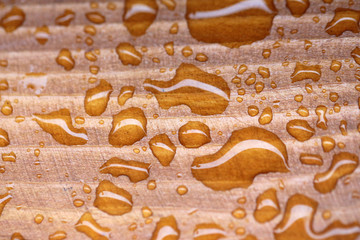Drops on wooden background