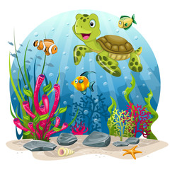 Turtle and fish in the sea