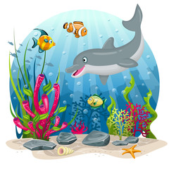 Dolphin and fish in the sea