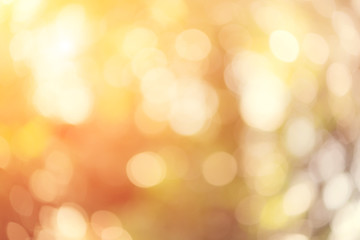 Fototapeta premium Abstrakcjonistyczny natury tło.