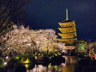 夜の春の寺