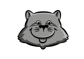 Raccoon head