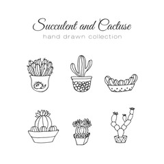 Cactus illustration. Vector succulent and cacti hand drawn set. In door plants in pots.