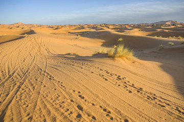 Erg Chebbi tracks, Morocco