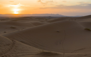 Fototapeta na wymiar Erg Chebbi dunes at sunset, Morocco