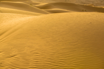 Sahara sand textures, Morocco