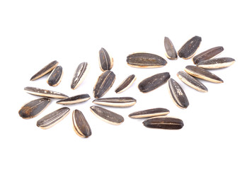 Sunflower seed on white background