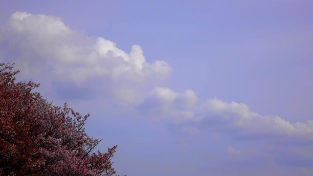 4K・流れる雲・タイムラプス・4K_15-182