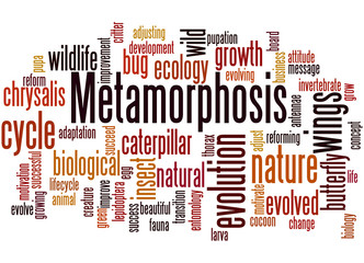 Metamorphosis, word cloud concept 6