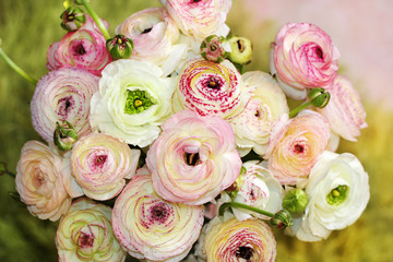 bouquet of colored peonies