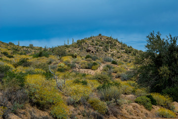 Hidden Treasures abound around Phoenix Arizona
