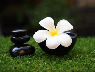 Thai spa massage compress balls, herbal ball with flower.Spa, Thailand