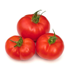 Tomaten, Solanum lycopersicum, Tomatoes