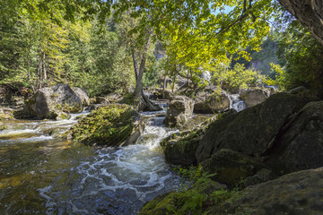 Flowing Mountain Stream on sunny day